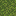 moss_block